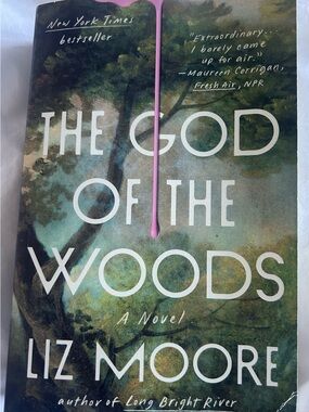 The God of the Woods by Liz Moore